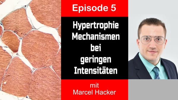 What are the potential mechanisms of fatigue-induced skeletal muscle hypertrophy with low-load resistance exercise training? | S1E5